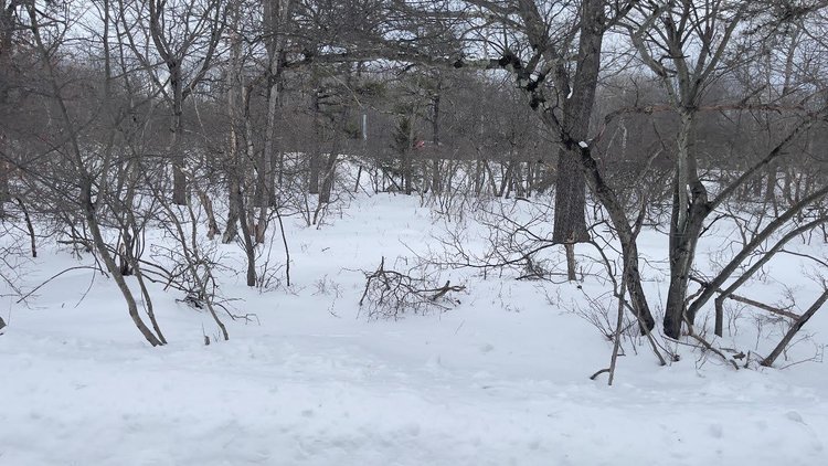 Image for Builder’s Auction – 4 Lots Sold as a Package Poconos, PA