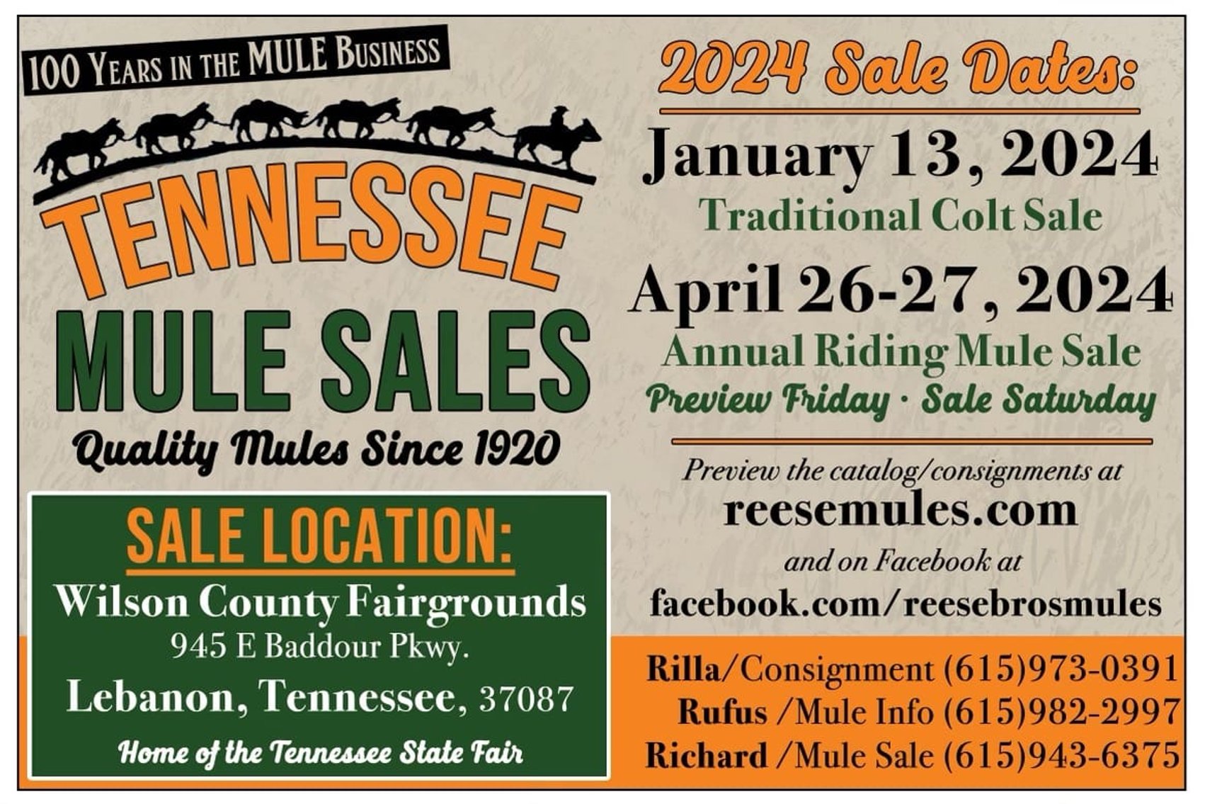 Image for Tennessee Mule Sales - Annual Mule Sale - Reese Bros. Lebanon TN April 27th