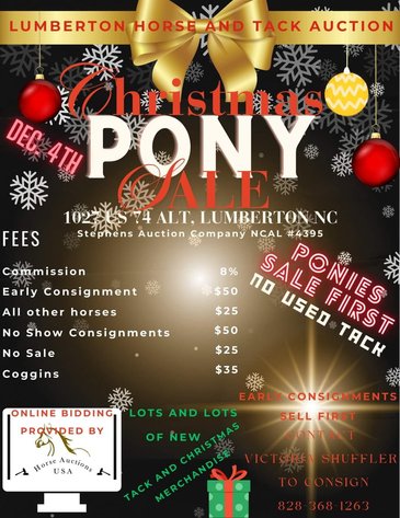 Image for Christmas Pony Sale, Lumberton Horse Auction