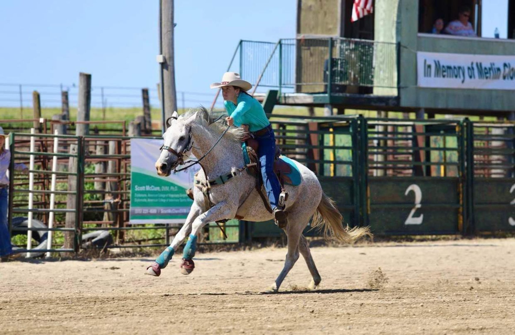 Image for Missouri Horse Auction FRIDAY DECEMBER 29TH - Springfield, MO