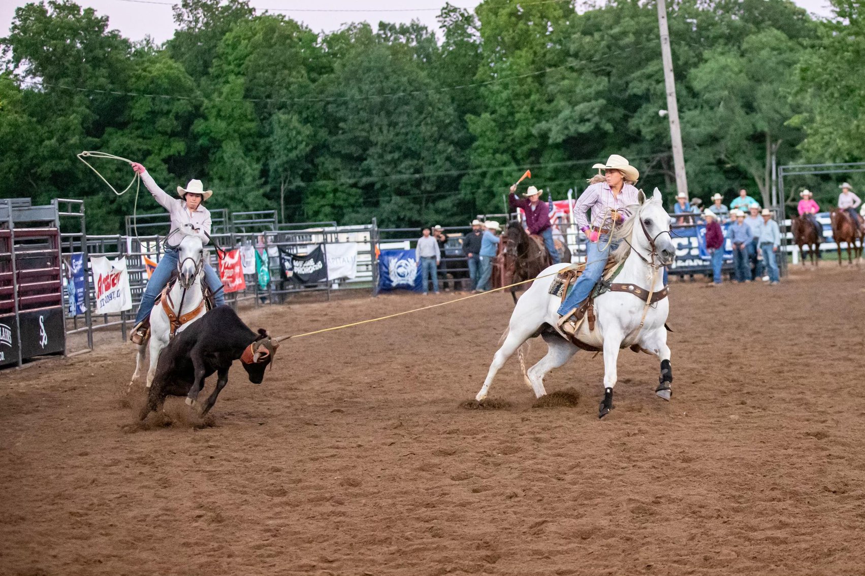 Image for 606 New Years Day, Fireball Sale