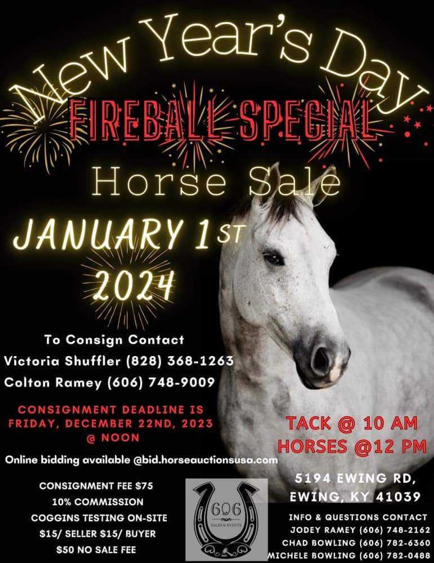 Image for 606 New Years Day, Fireball Sale