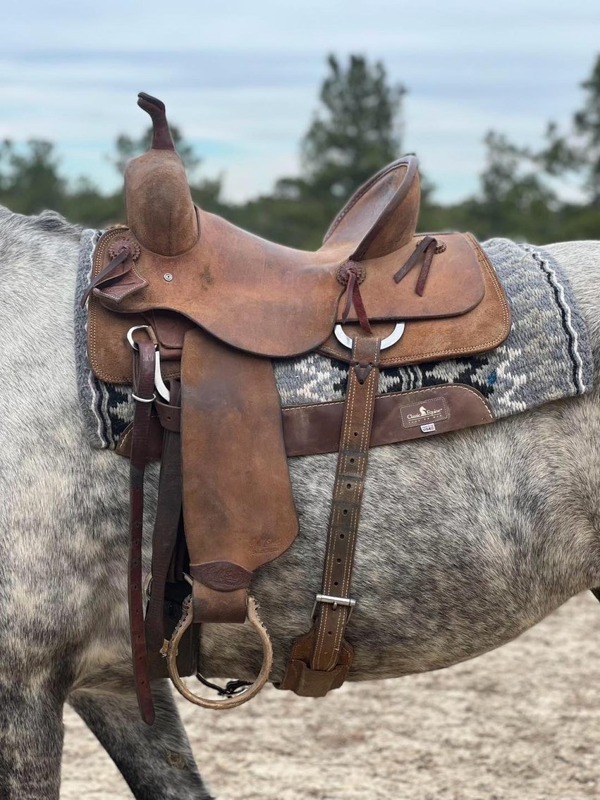 Image for Legacy Livestock NEW YEARS EVE SALE Sunday December 31st - Thurmont, MD