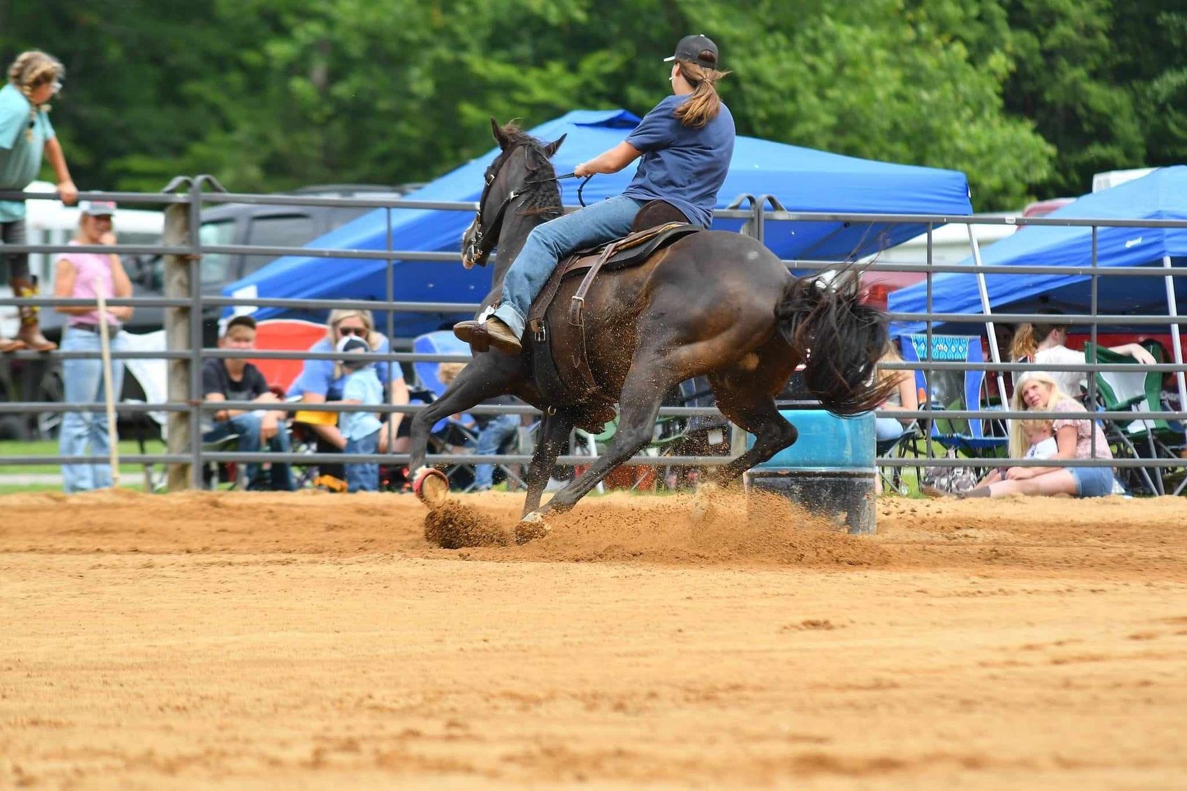 Image for Lumberton Horse and Tack Auction February 2024
