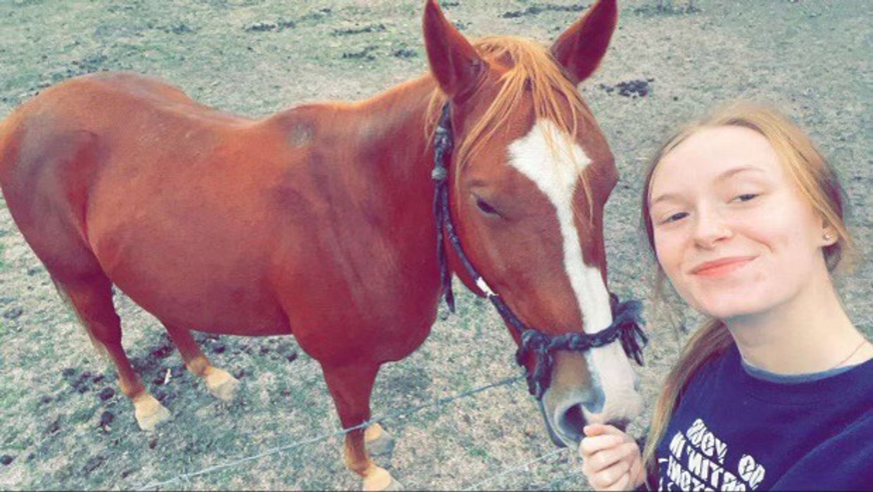 Image for Mize Horse Sale  SATURDAY MARCH 16TH - Mize, Mississippi