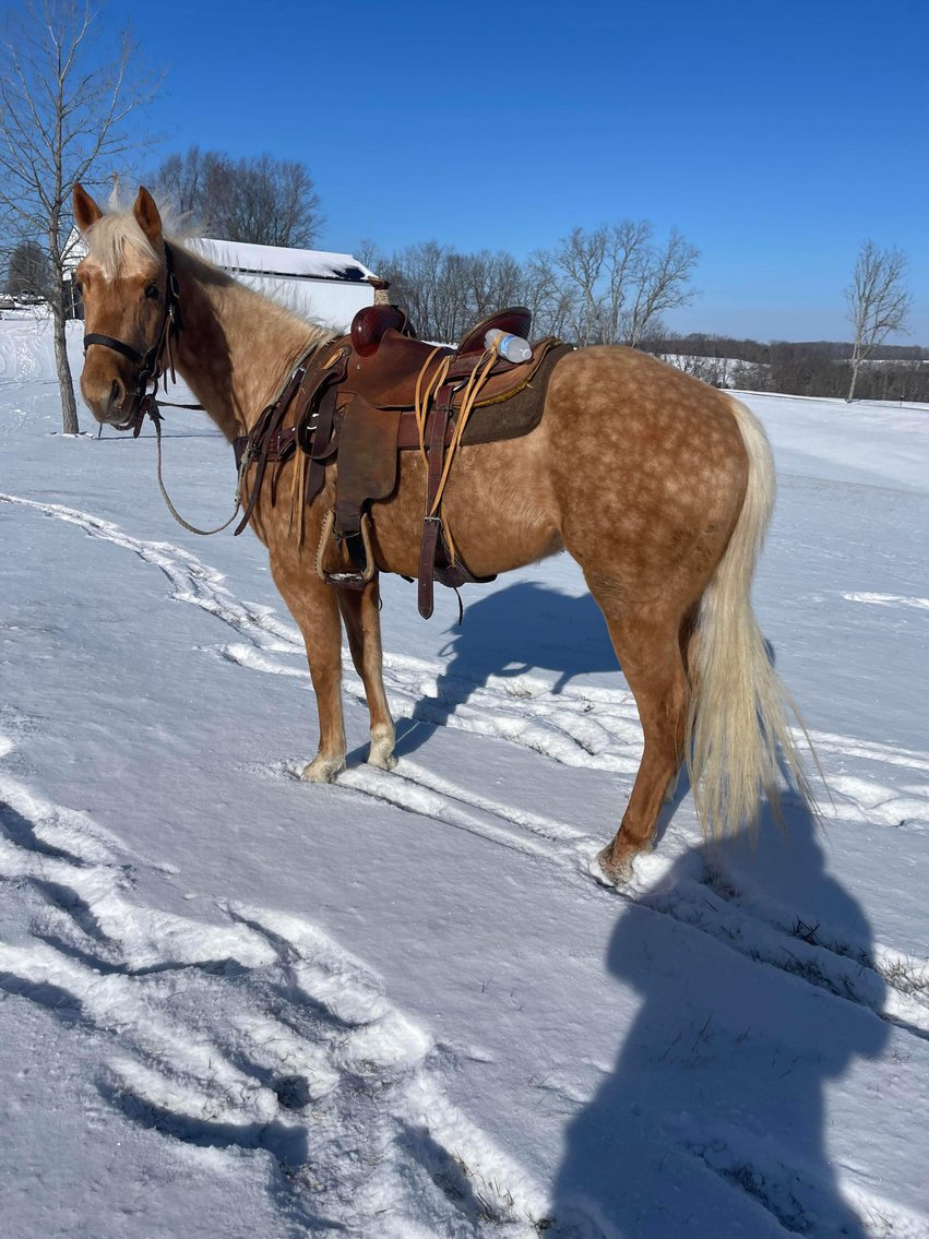 Image for 606 Eastern Elite Select Sale