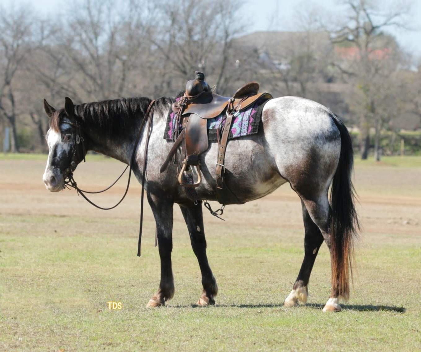 Image for 606 Eastern Elite Select Sale