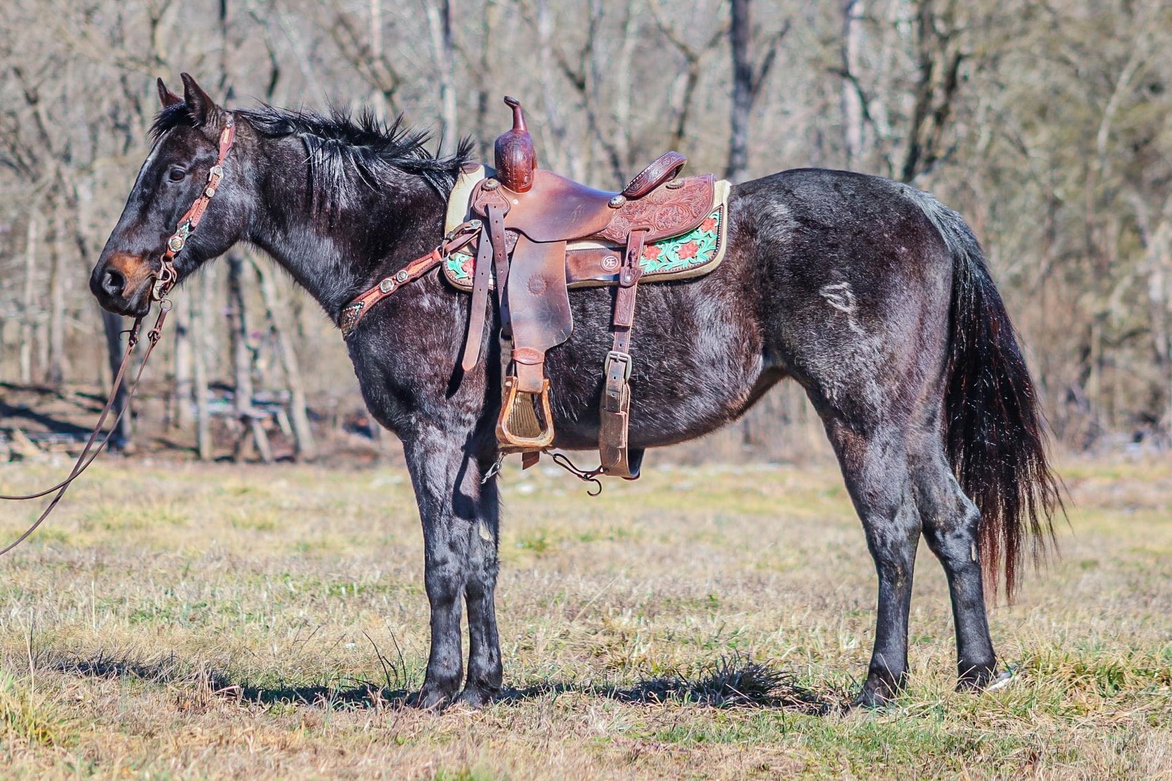 Image for 606 Eastern Elite Select Sale