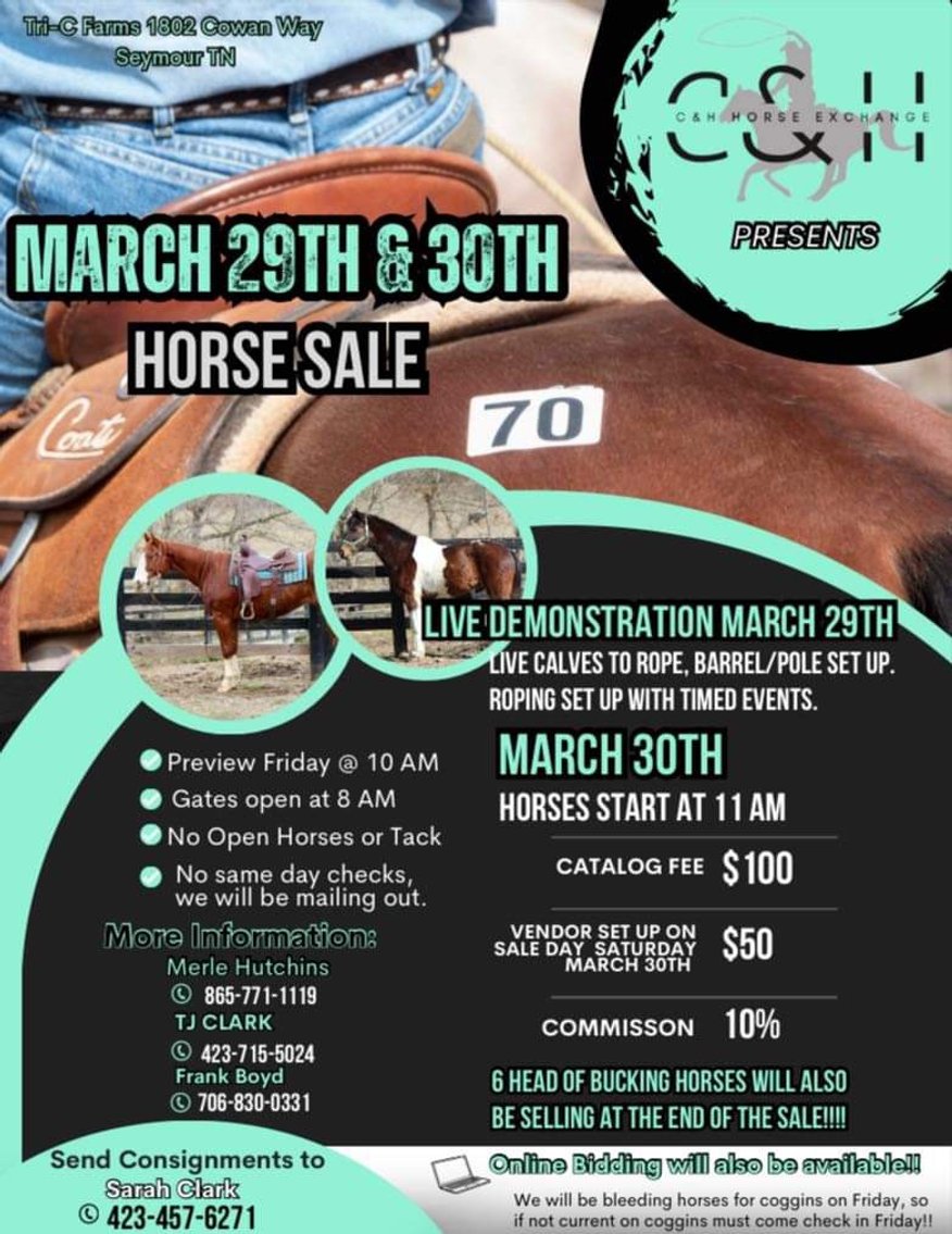 Image for C&H Horse Exhange Horse Sale - SATURDAY March 30th - Seymour, TN