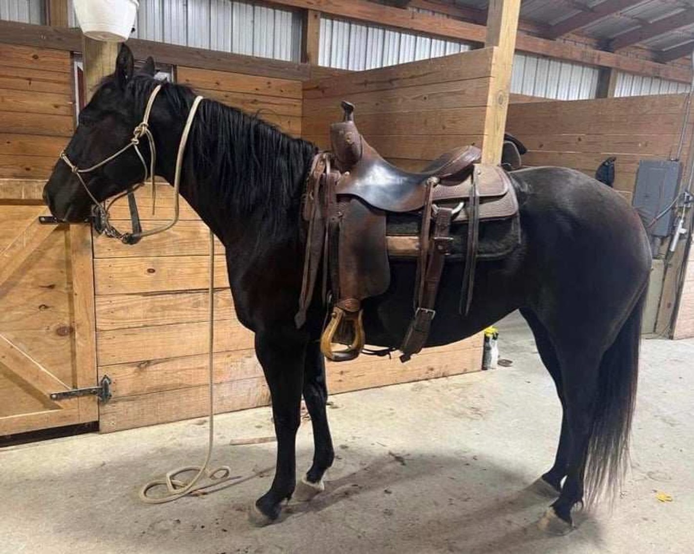 Image for 606 Spring Spectacular