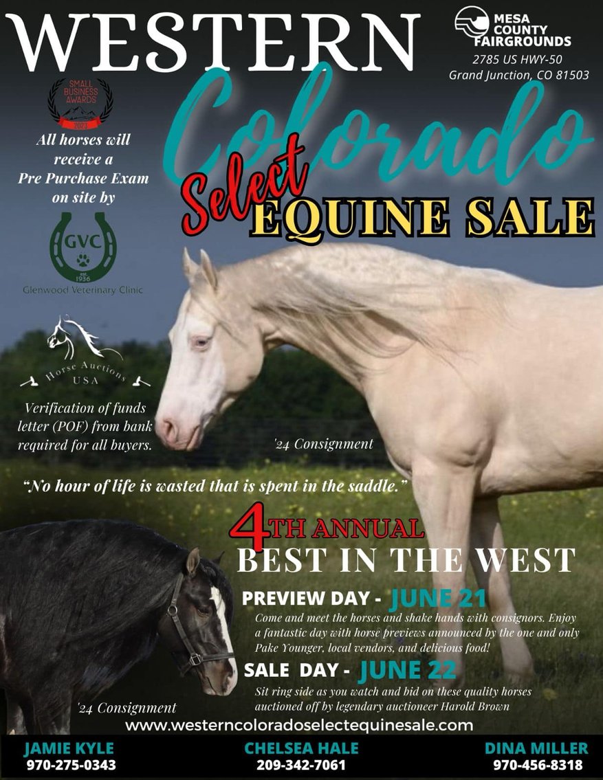 Image for Western Colorado Select Equine Sale - 4th Annual Best In The West! June 22nd - Grand Junction, Colorado