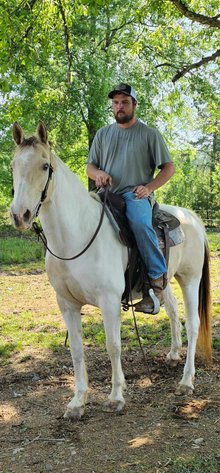Image for Lumberton Horse and Tack Auction May 2024
