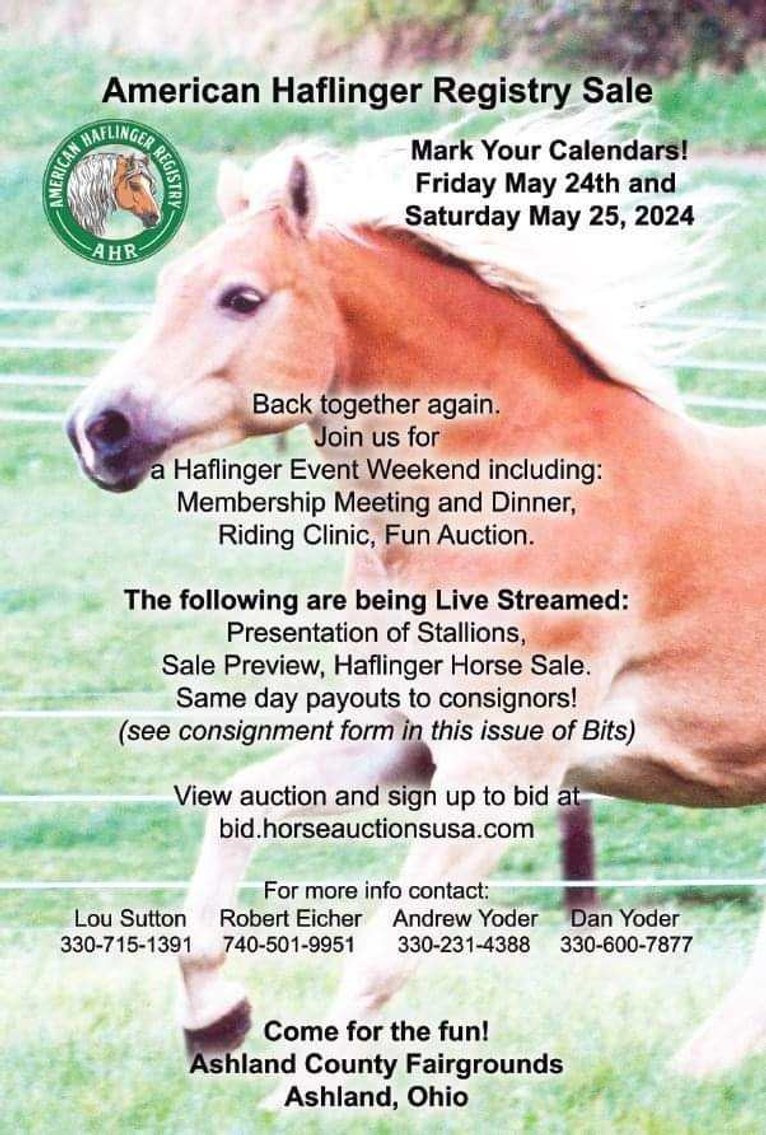 Image for American Haflinger Registry Sale