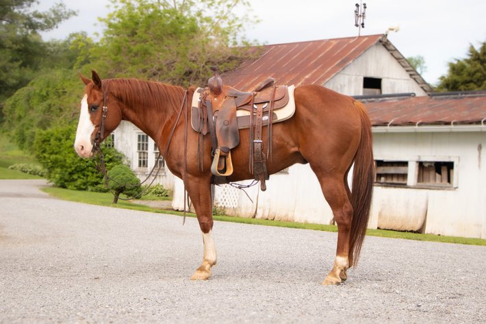 Image for KS Select Spring Sale - Clarion, Pennsylvania - SATURDAY May 18th