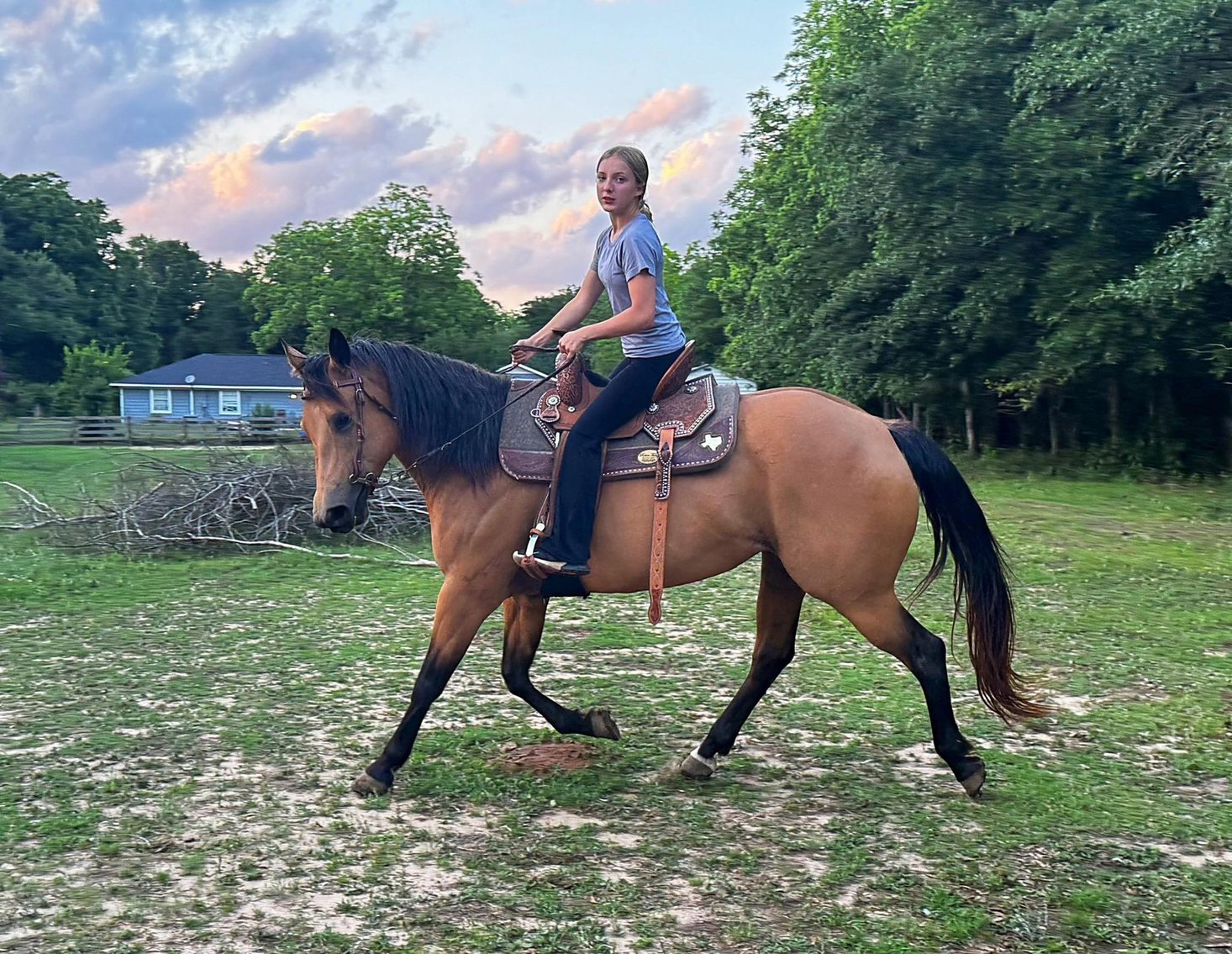 Image for Mize Horse Sale  SATURDAY MAY 18TH - Mize, Mississippi