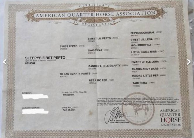 Image for 606 Horse Sale, Memorial Day Special