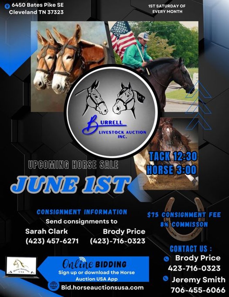 Image for Burrell Livestock Auction Inc. GRAND OPENING SALE - SATURDAY, JUNE 1ST