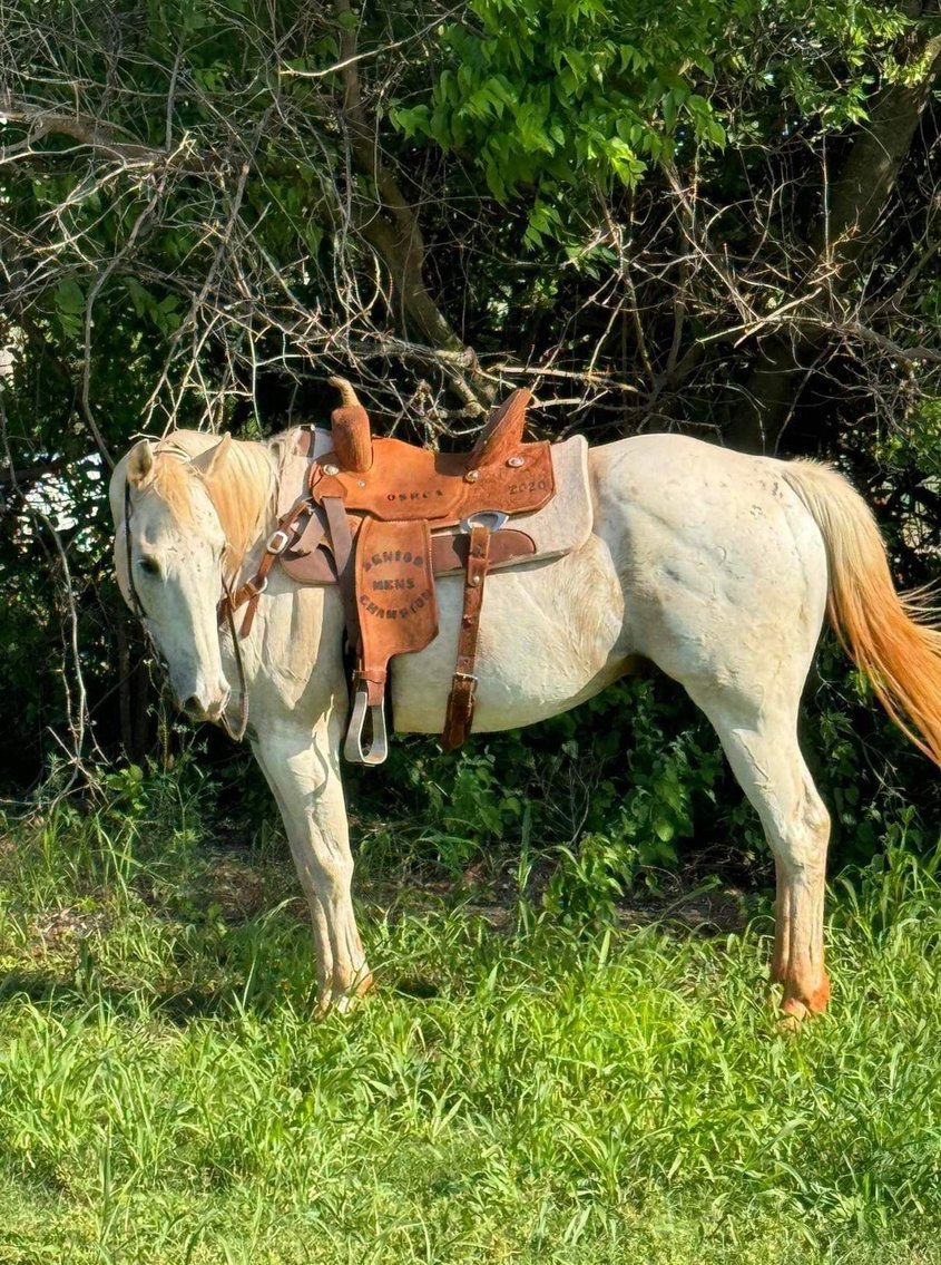 Image for Jones Livestock Auction THURSDAY June 6th -  Jones, Oklahoma