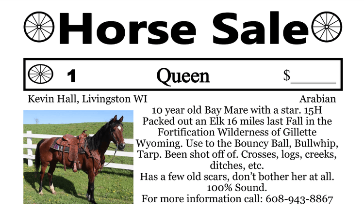 Image for Southwest Wisconsin Riding Horse Sale