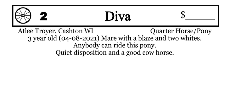 Image for Southwest Wisconsin Riding Horse Sale