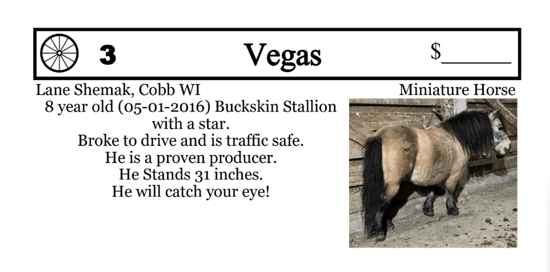 Image for Southwest Wisconsin Riding Horse Sale