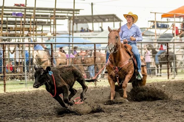 Image for Interstate Regional Stockyards Horse Sale - Cuba, Missouri WEDNESDAY June 19th
