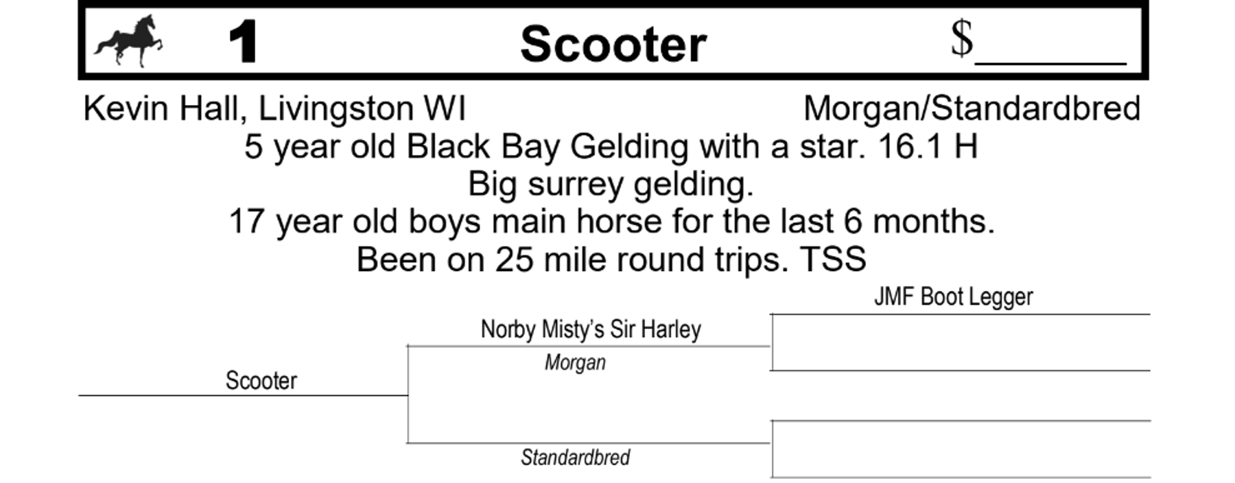Image for 13th Annual Dutch Valley Driving Horse Sale, Platteville WI