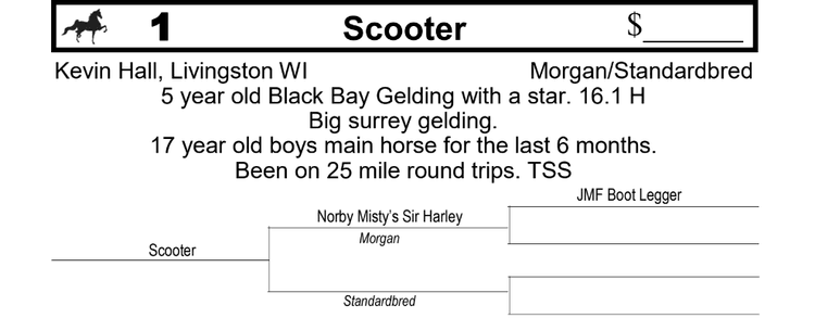 Image for 13th Annual Dutch Valley Driving Horse Sale, Platteville WI