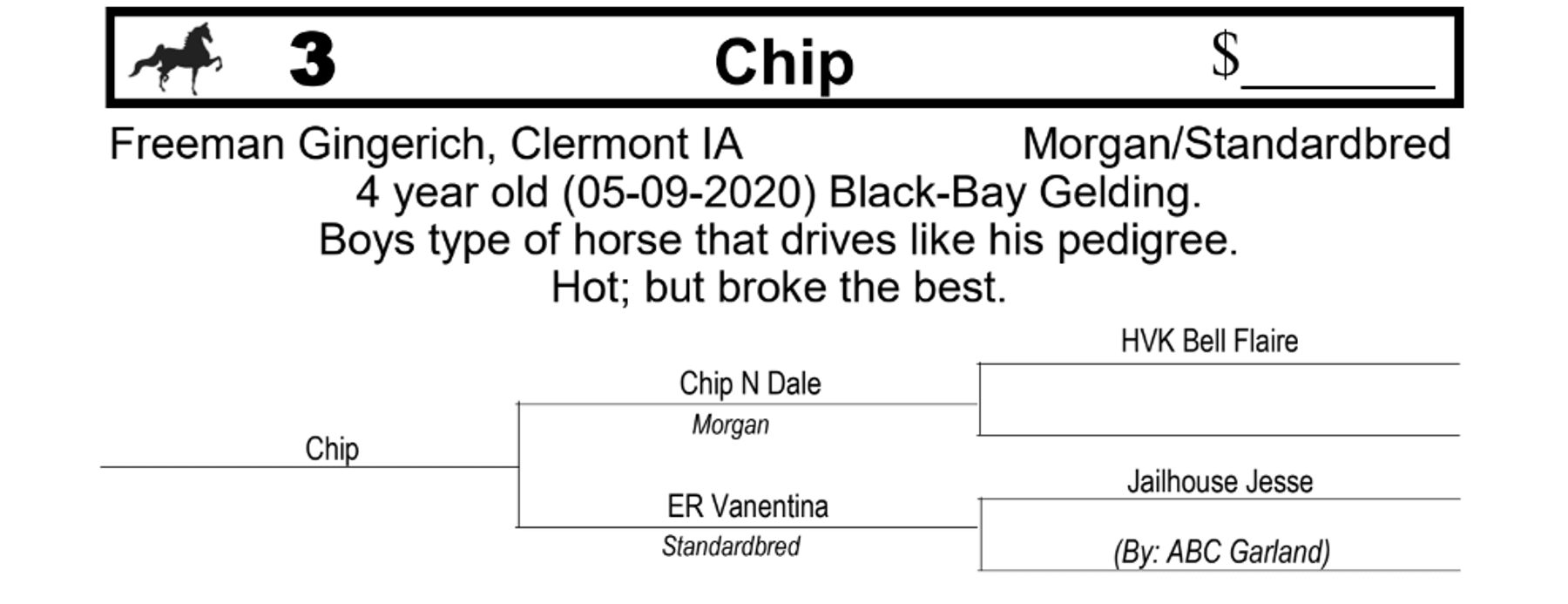 Image for 13th Annual Dutch Valley Driving Horse Sale, Platteville WI
