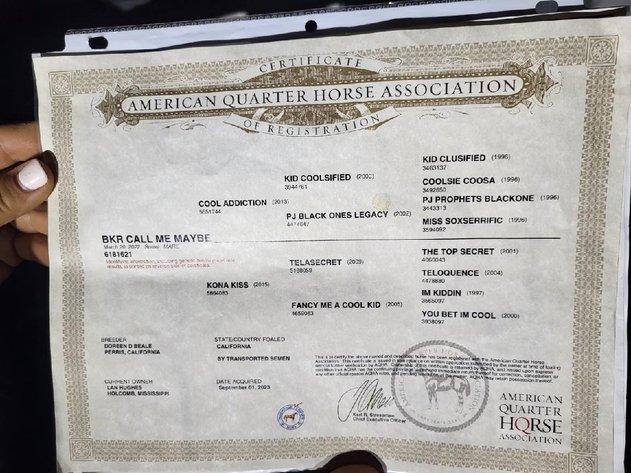 Image for Mize Horse Sale  SATURDAY JUNE 29TH - Mize, Mississippi