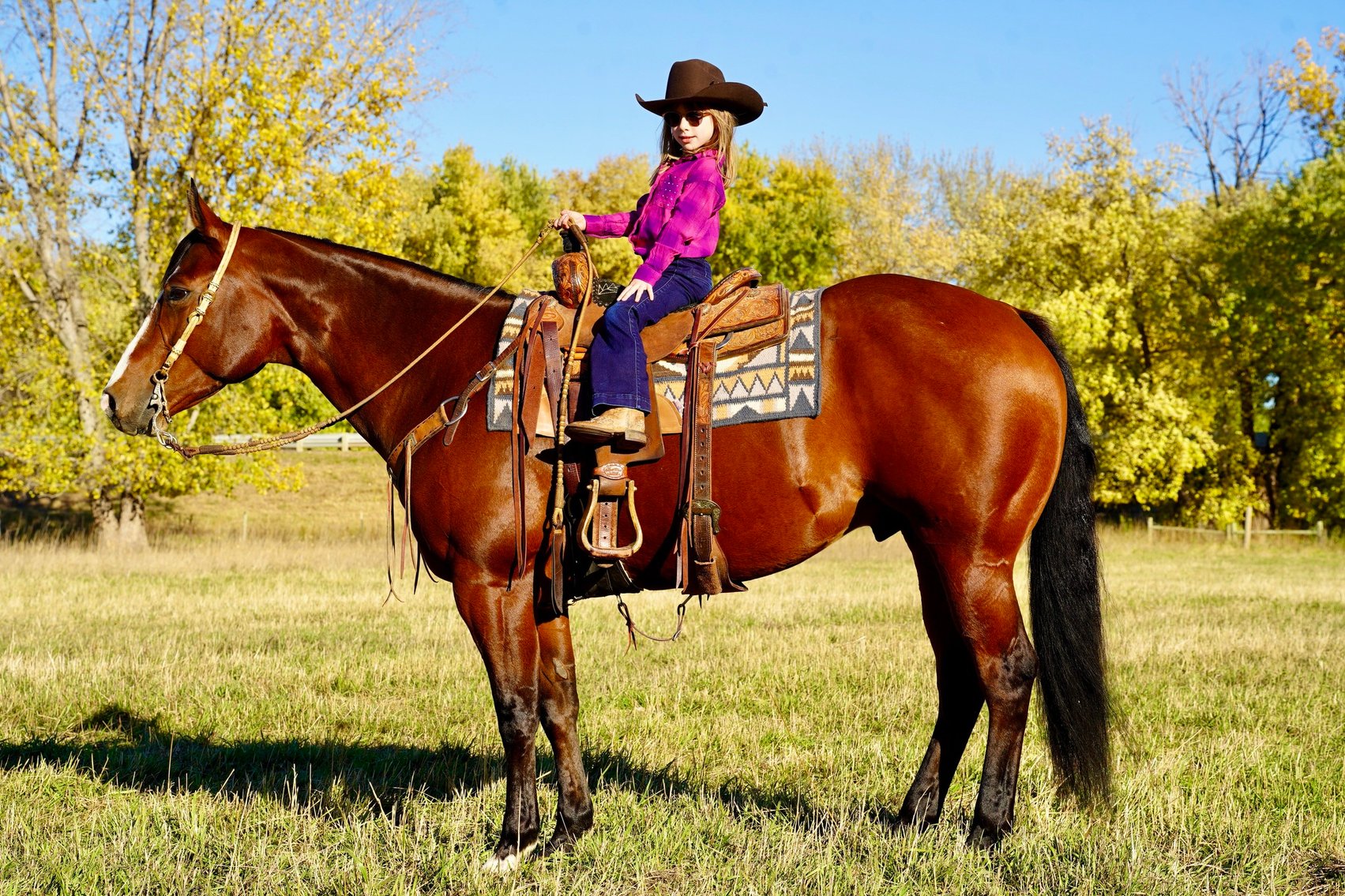 Image for Corsica Horse Sales Catalog Sale - SATURDAY, JULY 6TH - Corsica, South Dakota