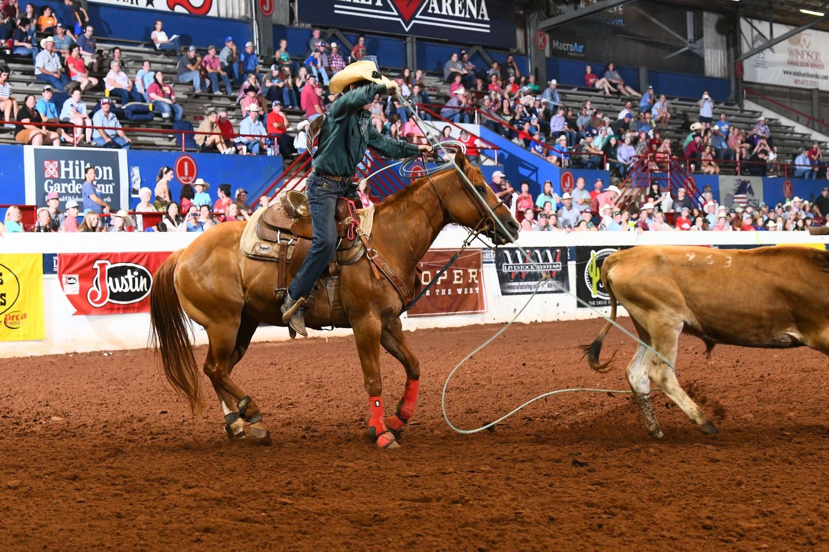 Image for Mize Horse Sale  SATURDAY JULY 20TH - Mize, Mississippi