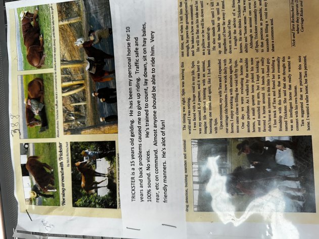 Image for Burrell Livestock Auction Inc. JULY 6TH 2024 SALE