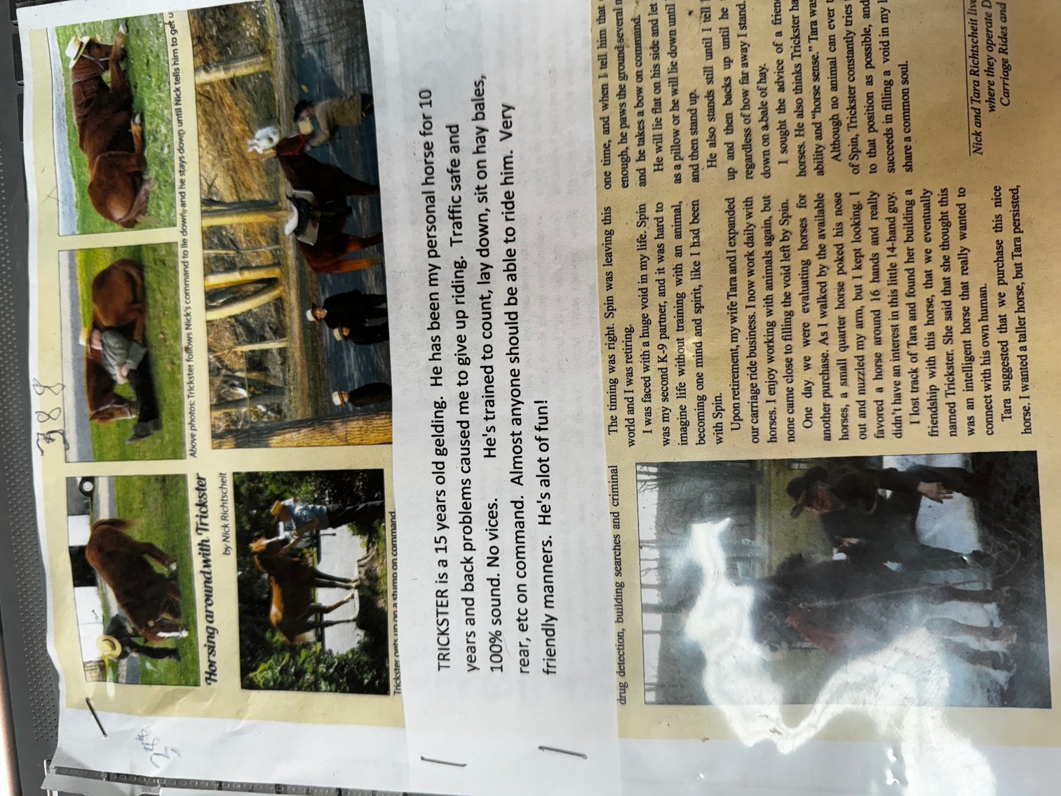 Image for Burrell Livestock Auction Inc. JULY 6TH 2024 SALE