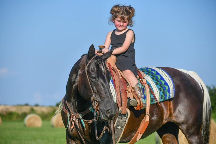 Image for Jones Livestock Auction MONTHLY HORSE & TACK SALE!   Saturday, July 13th!