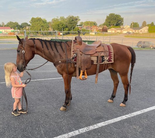 Image for Knoxville Livestock Auction Catalog Horse Sale - SATURDAY JULY 20TH 2024  - Knoxville, Tennessee