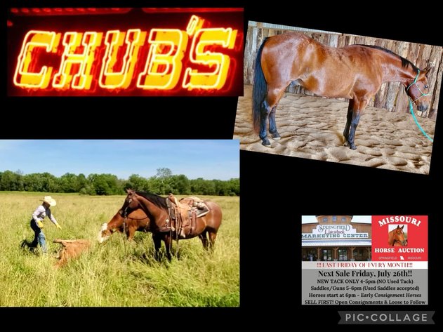Image for Missouri Horse Auction FRIDAY JULY 26TH - Springfield, MO