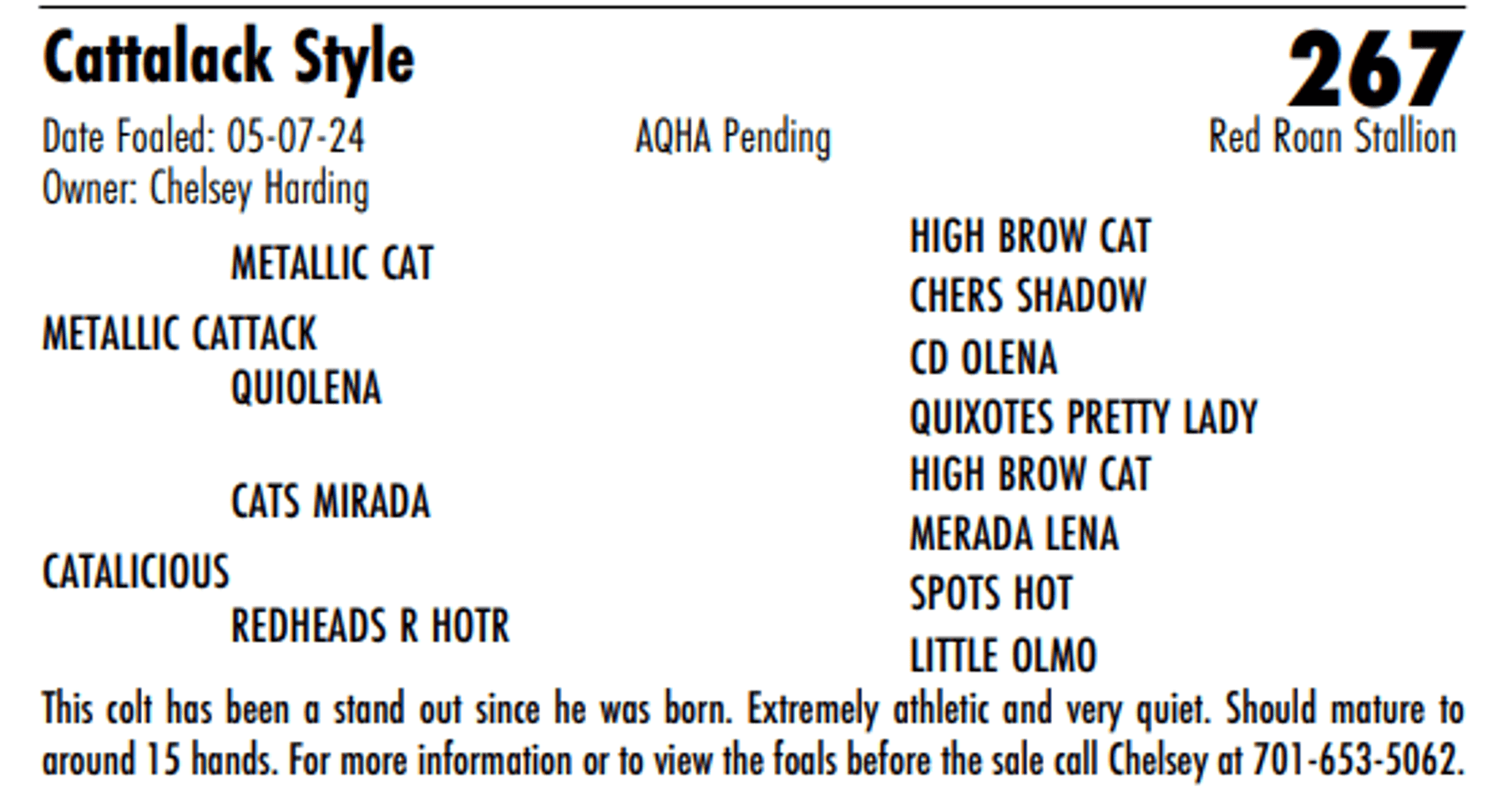 Image for Hermanson-Kist Fall All Breed Horse Sale - Mandan, North Dakota - September 19, 20, 21 - DAY ONE