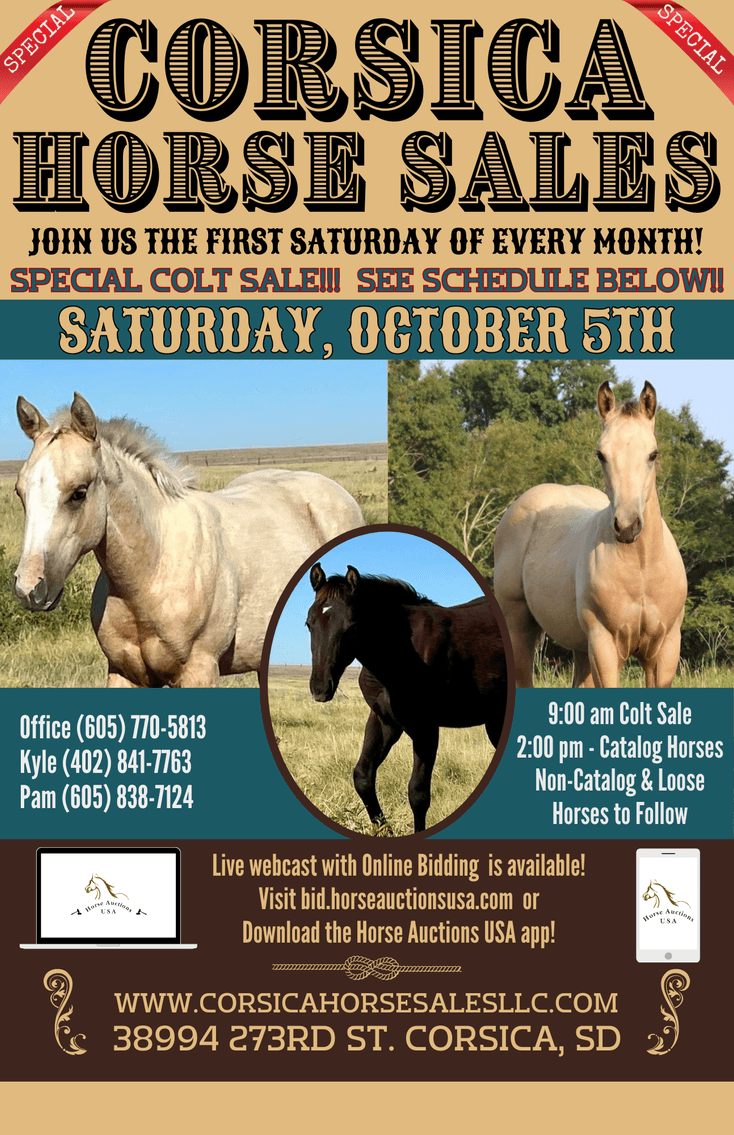 Image for Corsica Horse Sales Catalog Sale *SPECIAL COLT SALE* - SATURDAY, OCTOBER 5TH - Corsica, South Dakota