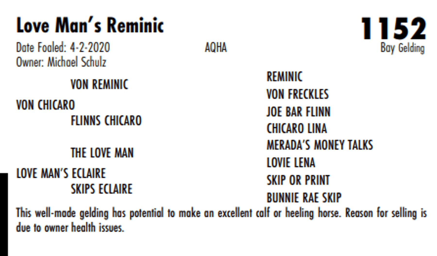 Image for Hermanson-Kist Fall All Breed Horse Sale - Mandan, North Dakota - September 19, 20, 21 - DAY THREE