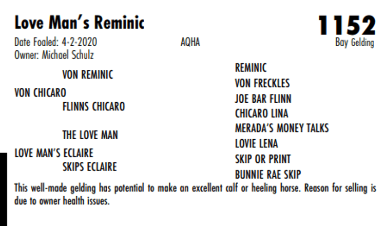 Image for Hermanson-Kist Fall All Breed Horse Sale - Mandan, North Dakota - September 19, 20, 21 - DAY THREE