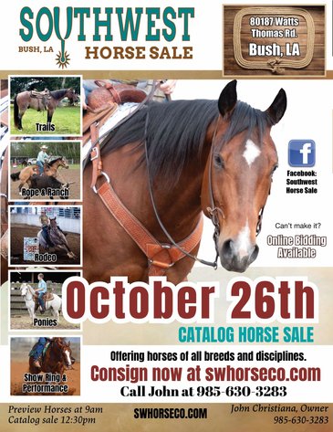 Image for Southwest Horse Sale Fall Catalog Sale - SATURDAY OCTOBER 26TH - Bush, LA