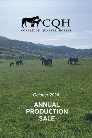 Image for Corbridge Quarter Horses Annual Production Sale - ONLINE ONLY!!!  Runs September 27th through October 6th!