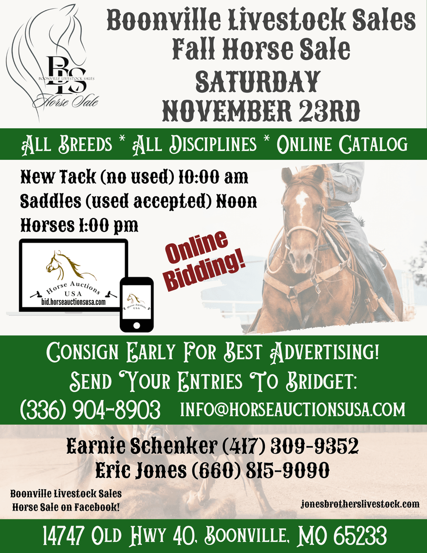 Image for Boonville Livestock Sales Fall Horse Sale - SATURDAY, NOVEMBER 23RD - Boonville, MO