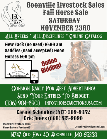Image for Boonville Livestock Sales Fall Horse Sale - SATURDAY, NOVEMBER 23RD - Boonville, MO