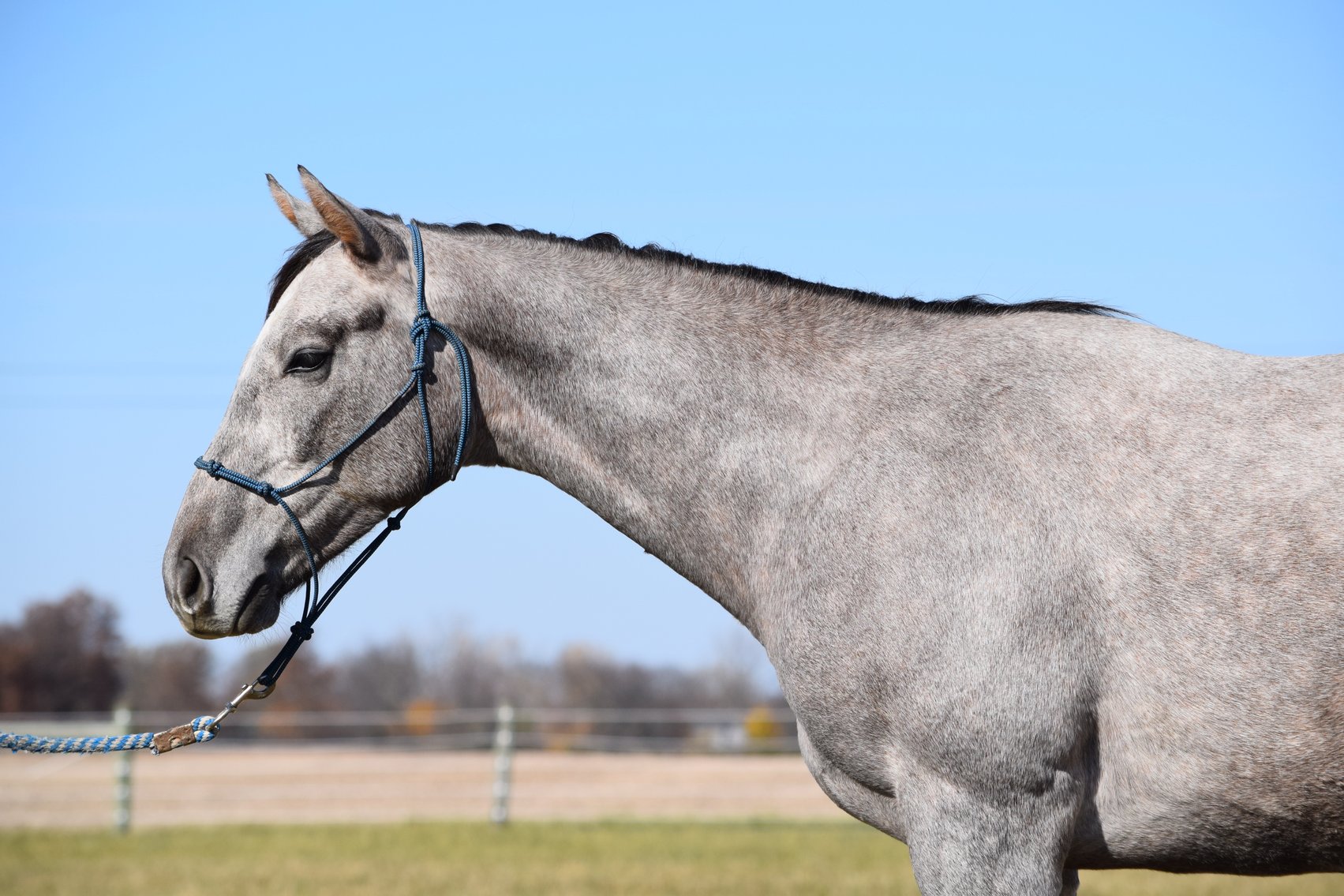 Image for ITOBA Fall Mixed DIGITAL SALE - ENTIRELY ONLINE! November 14th-19th