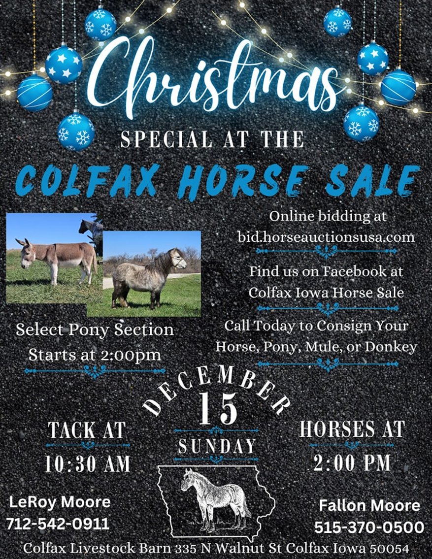 Image for Colfax Iowa Horse Sale - CHRISTMAS SPECIAL - Sunday, December 15th