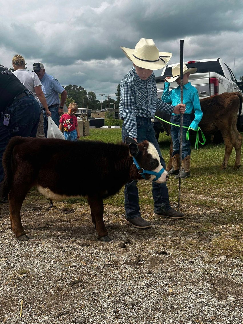 Image for Colfax Iowa Horse Sale - CHRISTMAS SPECIAL - Sunday, December 15th