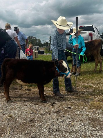 Image for Colfax Iowa Horse Sale - CHRISTMAS SPECIAL - Sunday, December 15th
