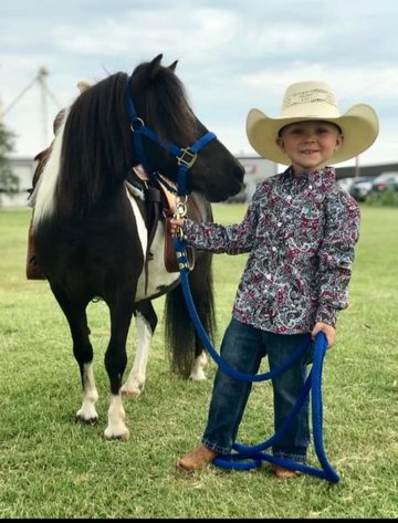 Image for Colfax Iowa Horse Sale - CHRISTMAS SPECIAL - Sunday, December 15th